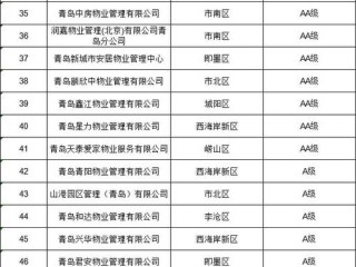 青岛企业信息查询官网