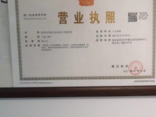 西安企业营业执照怎么查？