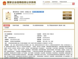 深圳企业信用信息查询网怎么用？