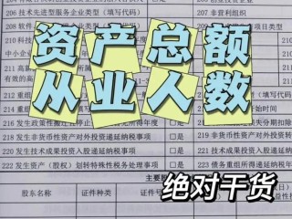 税企面对面要填哪些表