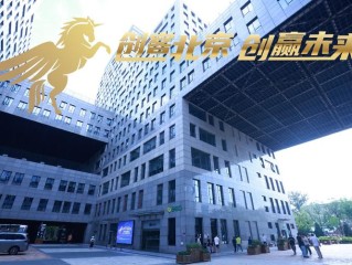 北京中小企业服务中心能提供哪些服务？