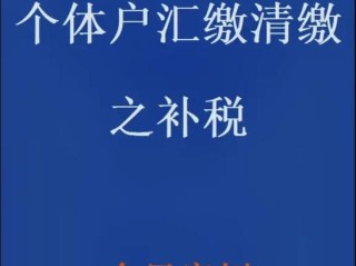 主动 税务 稽查 补缴