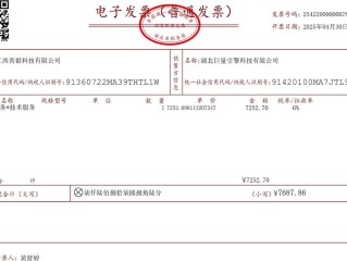 成都地方税务局发票怎么查？