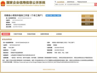 湖南企业信息网查询系统怎么用？
