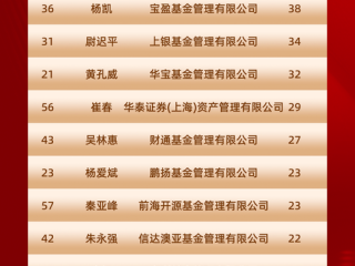 2025基金哪家强？冠军基还能否领跑？