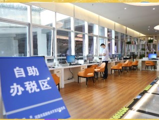 重庆地方税务局与税务局有何区别？