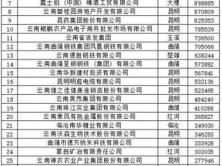 云南企业注册信息怎么查？