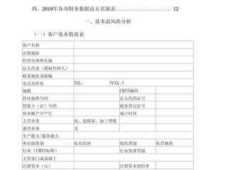 企业信用评级申请报告如何高效撰写？