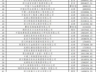 四川企业信息查询官网怎么用？