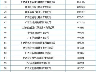 全国企业信息系统广西如何建设应用？