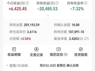 110029基金今日净值是多少？