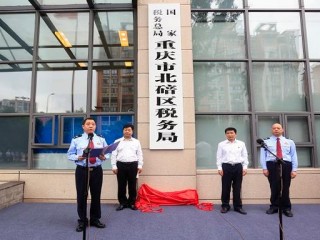 国家税务总局重庆市电子税务局