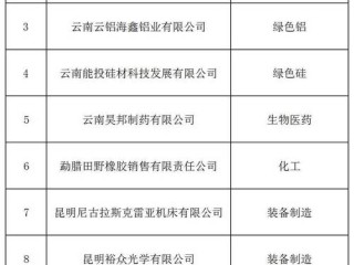 云南企业信息公示网查什么？