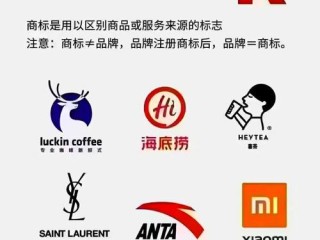 商标注册r的服务态度