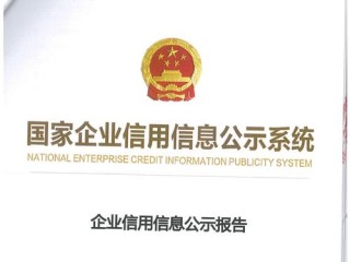 企业信用信息公示系统查什么？