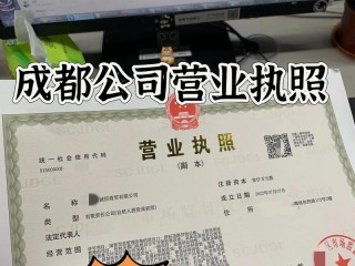 成都工商企业注册如何快速查询？