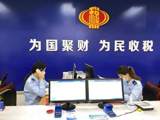 国家税务总局 纳税服务