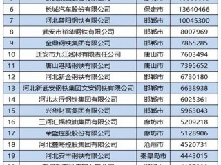 河北官网企业信息查询怎么查？
