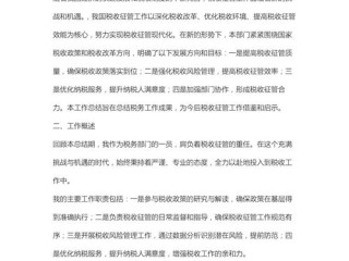2025税务工作个人总结，成效与不足如何？