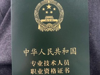 朝阳区税务第一税务师有何职责？