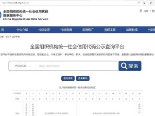输入信息查询系统官网如何快速精准查询？