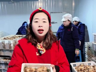 六安周谷堆怎么样