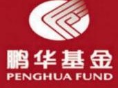 鹏华基金管理有限公司有何独特优势？