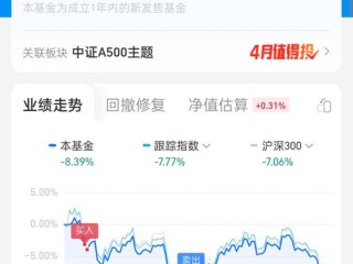忘记基金投入了多少
