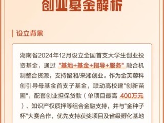 大学生自主创业基金如何申请？