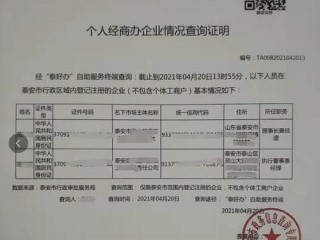 企业名称信息登记查询怎么查？