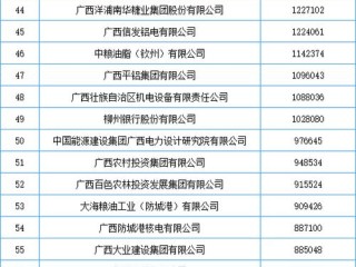 广西企业名称怎么查？系统操作指南在此！