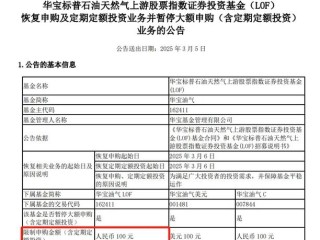 华宝油气是什么基金？投资油气怎么选？