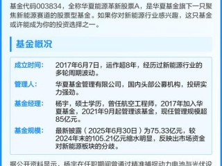 华夏能源革新股票基金能否领涨新能源赛道？
