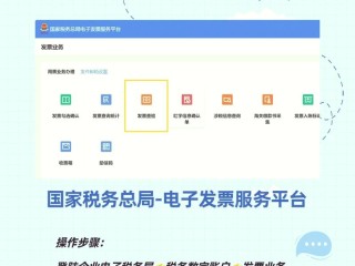 江西省国税局发票怎么查？