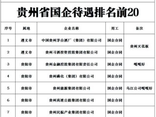 贵州国家企业信息怎么查？