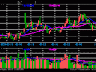 重仓国电电力的基金为何集体加仓？