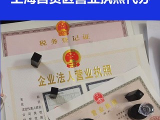 上海企业法人代表怎么查？