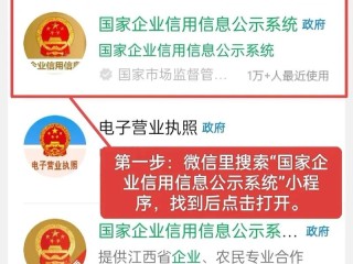 全国工商网信息查询系统怎么用？