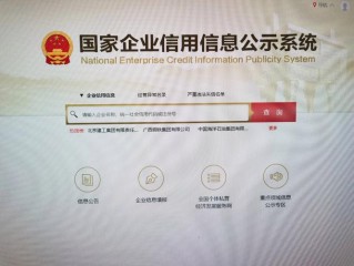 国家企业信息网本地查询怎么查？