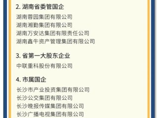 湖南工商查询企业名称