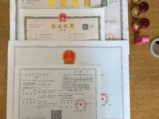 查询 企业 营业执照