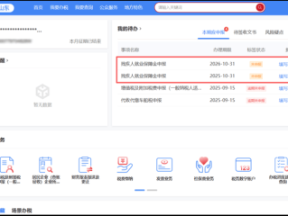 山东省税务局网上报税平台怎么用？