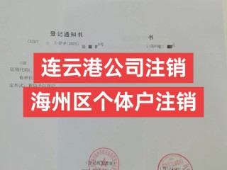 新注册公司三个月注销