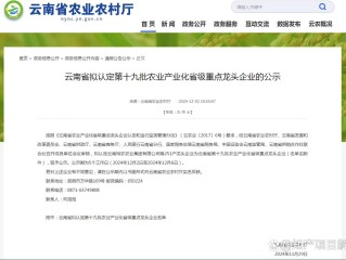云南企业公示信息填报，具体流程和注意事项是什么？