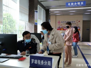 罗平税务局有何新政策或服务？