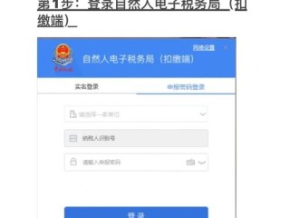 湖南地方税务局网上申报怎么操作？