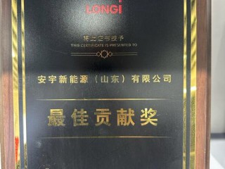 中和阳光基金表现如何？