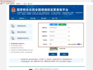 河北国税发票怎么查？