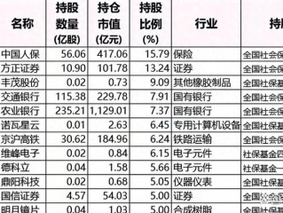 社保基金十大重仓股藏着哪些投资密码？