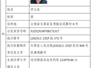 云南执行人信息查询官网